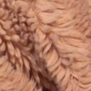 Meet your Posher, Heidi